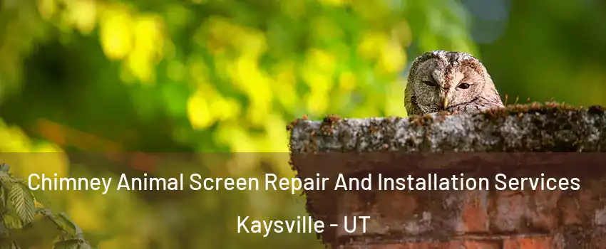  Chimney Animal Screen Repair And Installation Services Kaysville - UT
