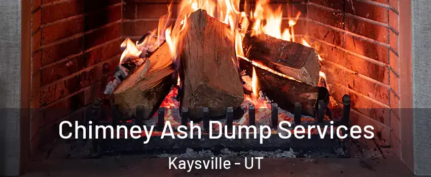  Chimney Ash Dump Services Kaysville - UT