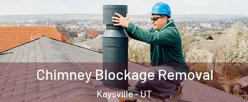  Chimney Blockage Removal Kaysville - UT