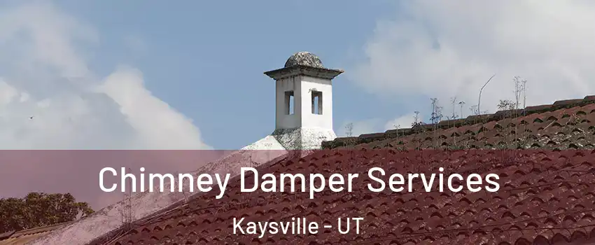  Chimney Damper Services Kaysville - UT