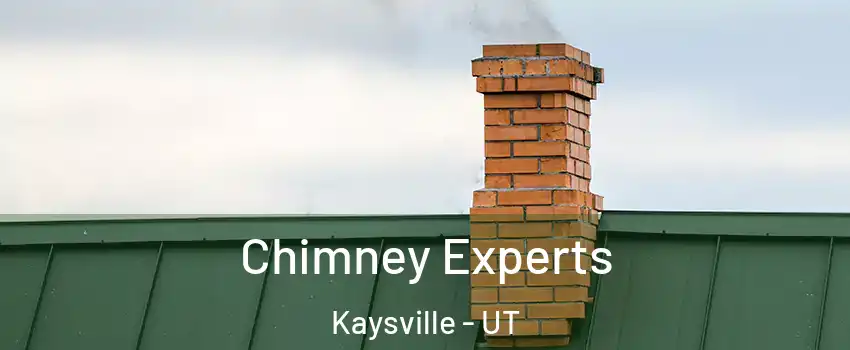  Chimney Experts Kaysville - UT