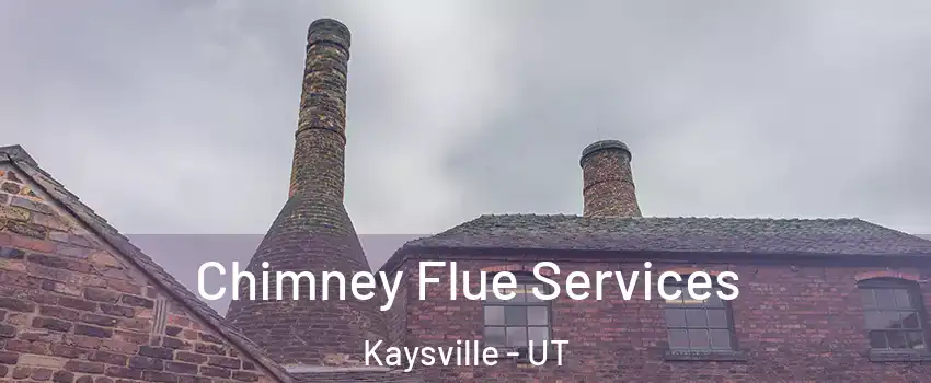 Chimney Flue Services Kaysville - UT