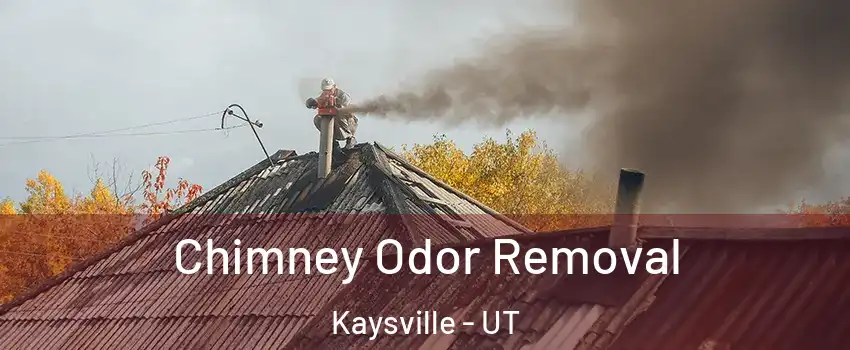  Chimney Odor Removal Kaysville - UT