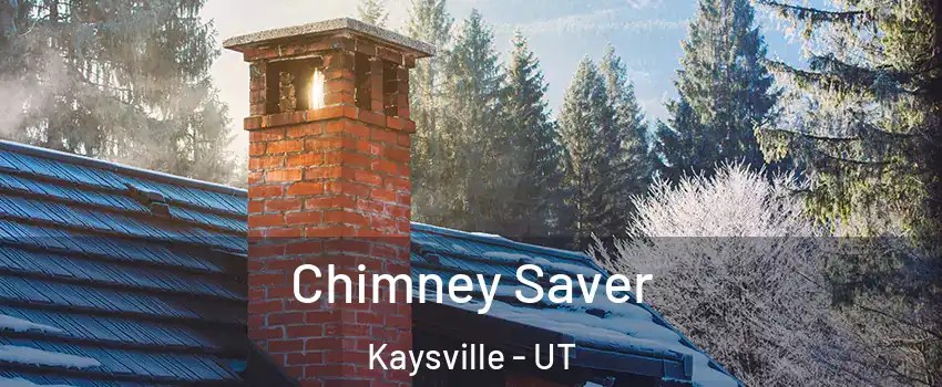  Chimney Saver Kaysville - UT