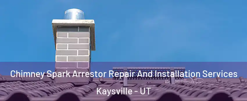  Chimney Spark Arrestor Repair And Installation Services Kaysville - UT
