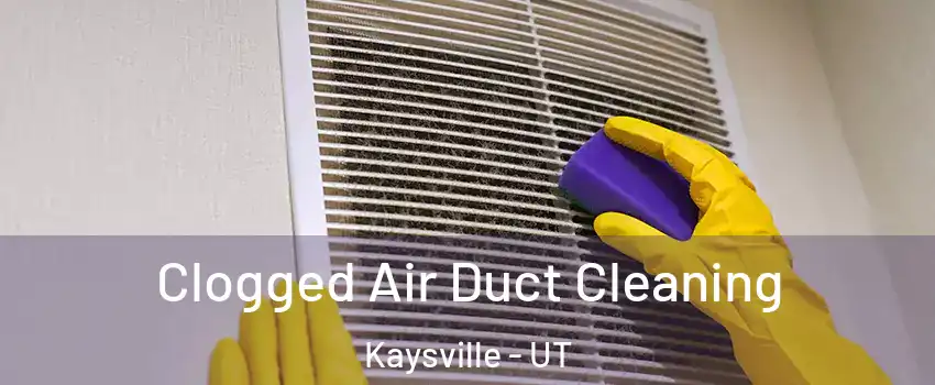  Clogged Air Duct Cleaning Kaysville - UT