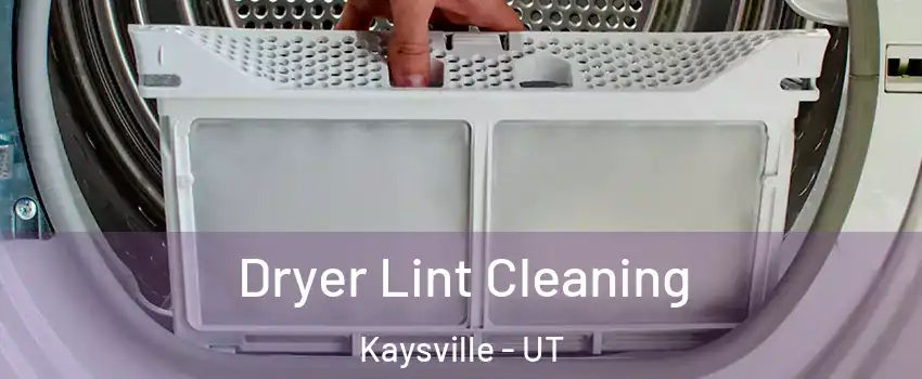  Dryer Lint Cleaning Kaysville - UT
