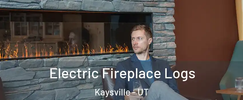  Electric Fireplace Logs Kaysville - UT
