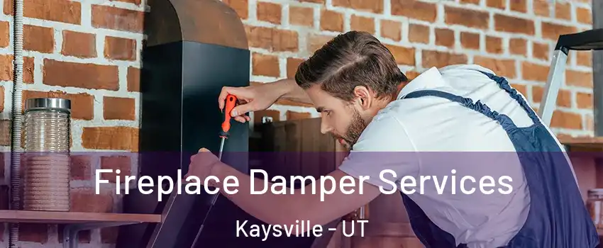  Fireplace Damper Services Kaysville - UT