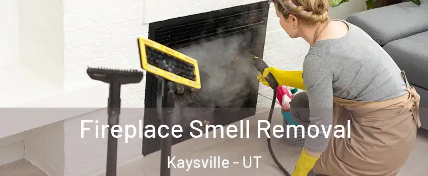  Fireplace Smell Removal Kaysville - UT