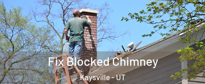 Fix Blocked Chimney Kaysville - UT