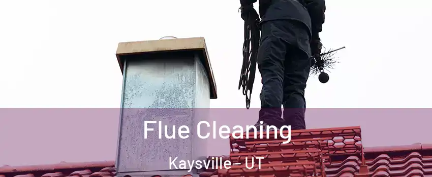  Flue Cleaning Kaysville - UT