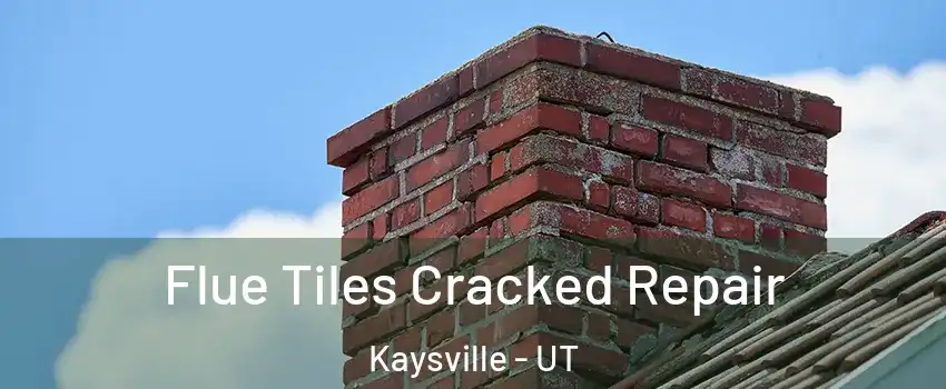  Flue Tiles Cracked Repair Kaysville - UT