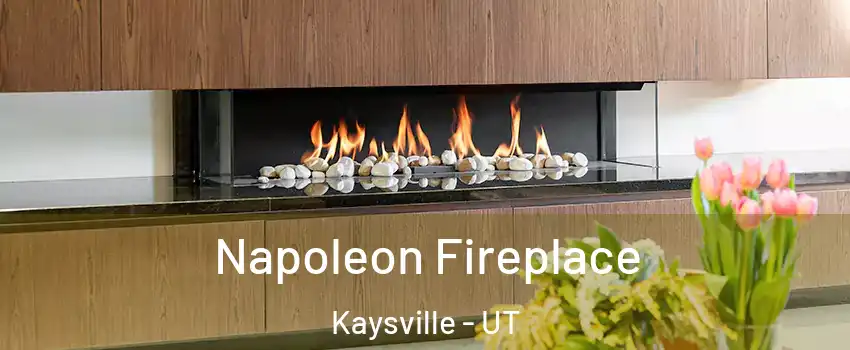  Napoleon Fireplace Kaysville - UT