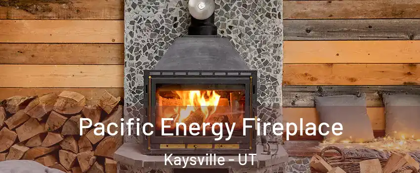  Pacific Energy Fireplace Kaysville - UT
